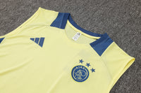 Camiseta y Pantalón corto Entrenamiento Ajax 24/25