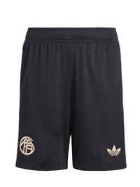 Camiseta y Pantalones Cortos para Niños Bayern de Múnich Third 25/26