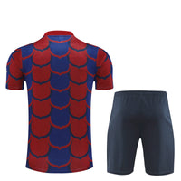 Camiseta y Pantalones Cortos FC Barcelona 24/25