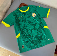Camiseta Senegal Away 2025