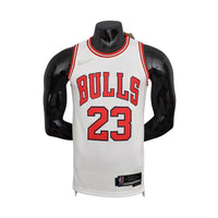 Camiseta NBA Jordan